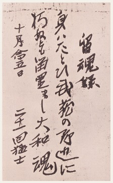 東書文庫蔵 掛図総覧