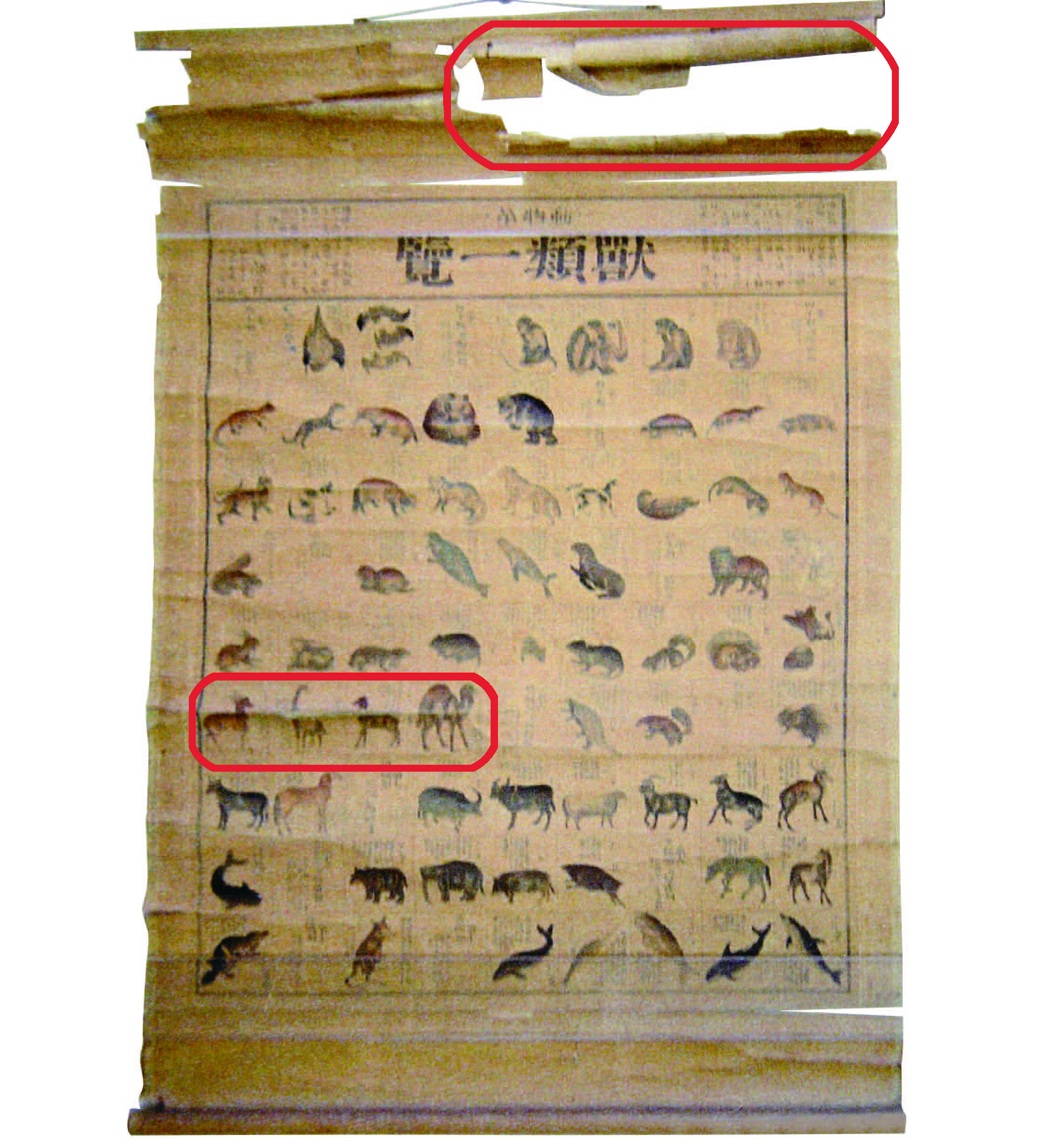 東書文庫｜東書文庫通信 所蔵資料の修理前・修理後